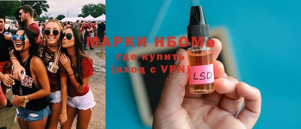 гашик Алексин
