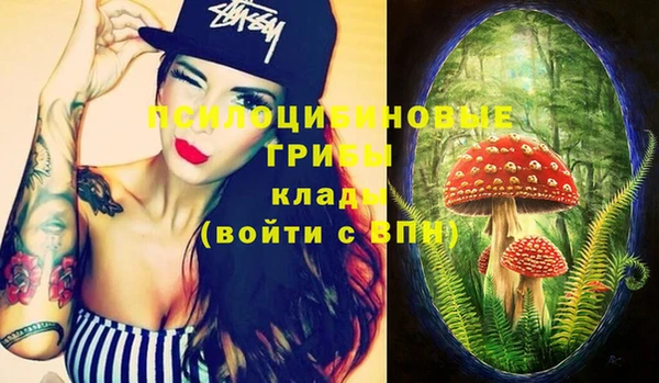 2c-b Куйбышев