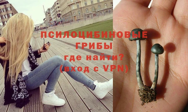 синтетический гашиш Кулебаки