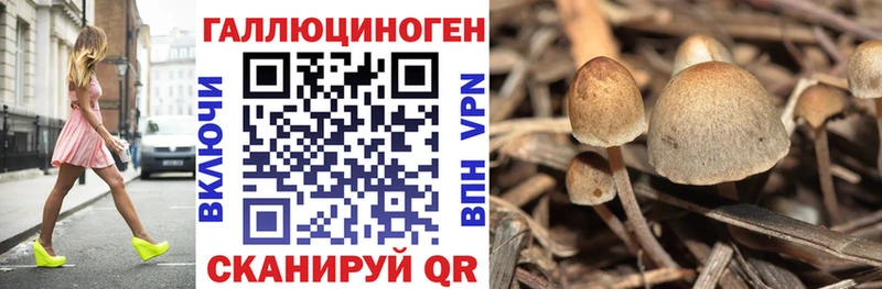 omg рабочий сайт  сколько стоит  Новое Девяткино  Галлюциногенные грибы прущие грибы 